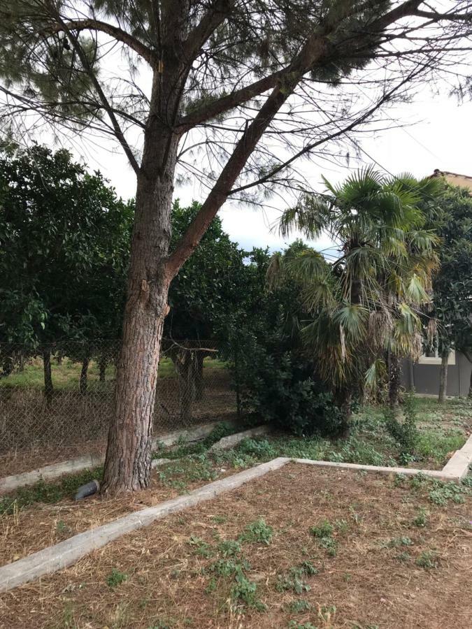 Taygetos Sparta